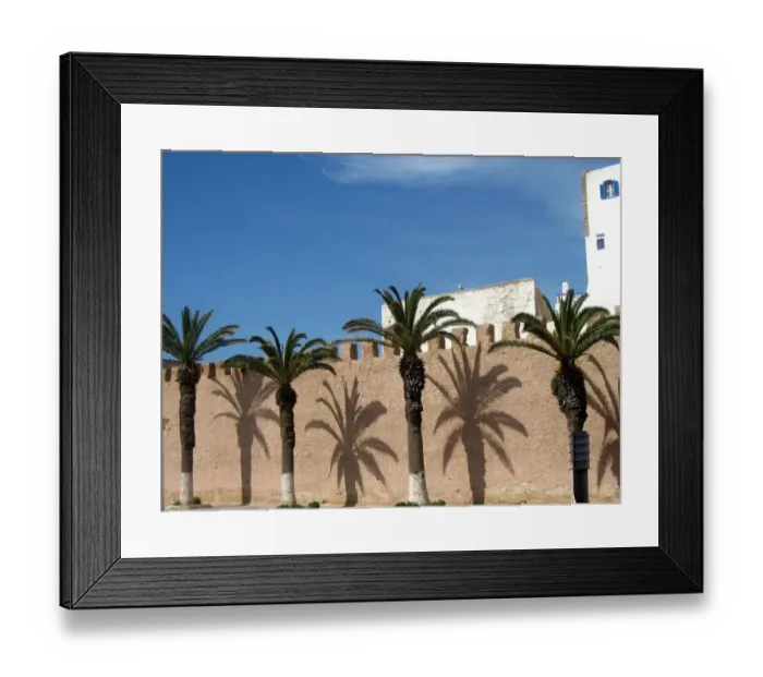 Framed Print : Tree-lined street, Essaouira, Morocco Framed Print : Tree-lined street, Essaouira, Morocco