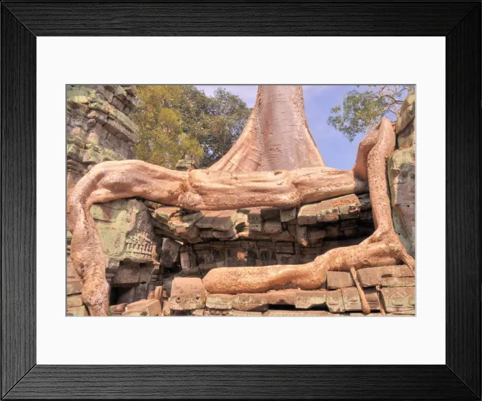 Framed Print : Ta Phrom Temple and gigantic trees and roots Framed Print : Ta Phrom Temple and gigantic trees and roots
