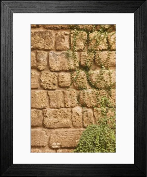 Framed Print : Old stone wall with ivy Framed Print : Old stone wall with ivy
