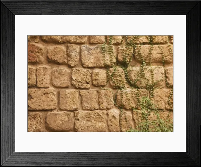 Framed Print : Old stone wall with ivy Framed Print : Old stone wall with ivy