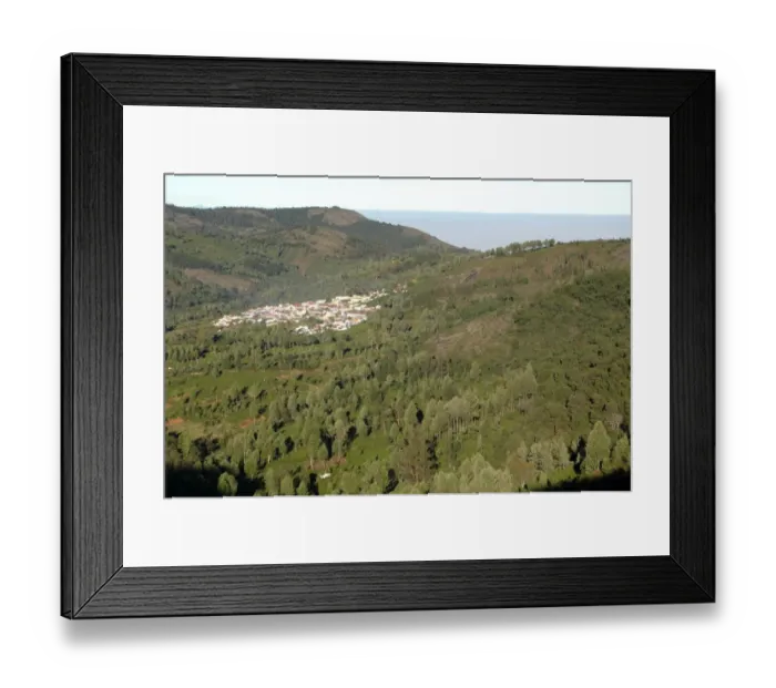 Framed Print : Tea, forests and a village in Nilgiris Framed Print : Tea, forests and a village in Nilgiris