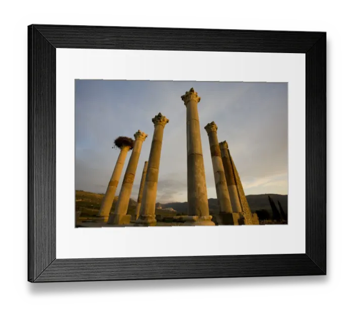 Framed Print : Fes. Home of Volubilis city Roman World Heritage Site 9th November 2008 Framed Print : Fes. Home of Volubilis city Roman World Heritage Site 9th November 2008