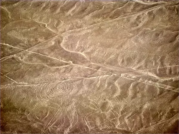 Nazca lines representing monkey