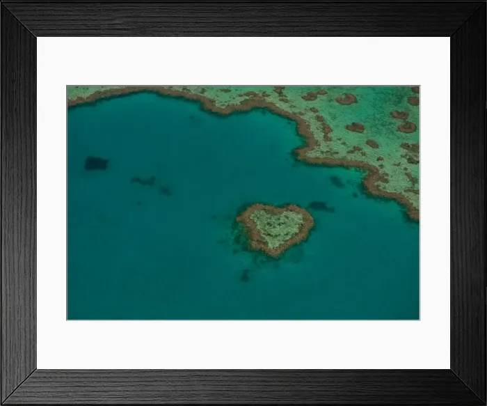 Framed Print : Aerial view, Heart Reef, Great Barrier Reef, UNESCO World Heritage Site, Queensland, Australia Framed Print : Aerial view, Heart Reef, Great Barrier Reef, UNESCO World Heritage Site, Queensland, Australia