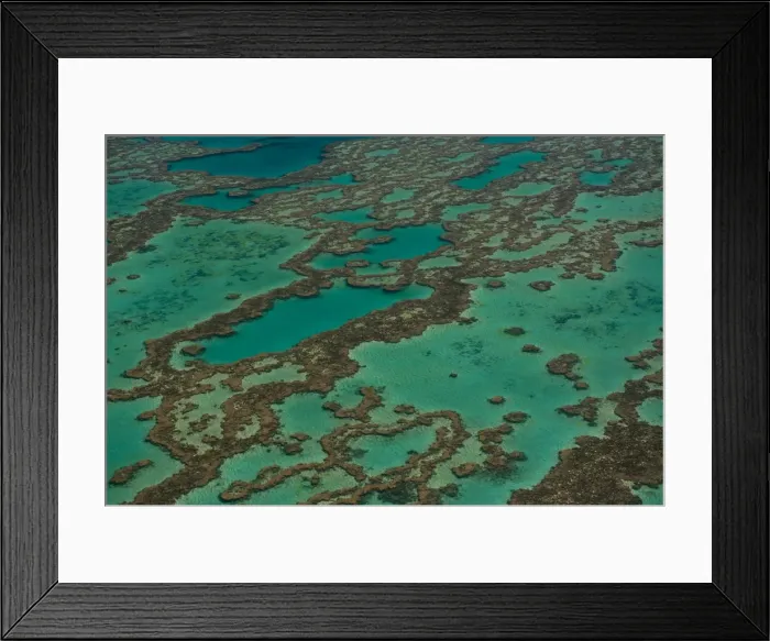 Framed Print : Aerial view of the Great Barrier Reef, UNESCO World Heritage Site, Queensland, Australia Framed Print : Aerial view of the Great Barrier Reef, UNESCO World Heritage Site, Queensland, Australia