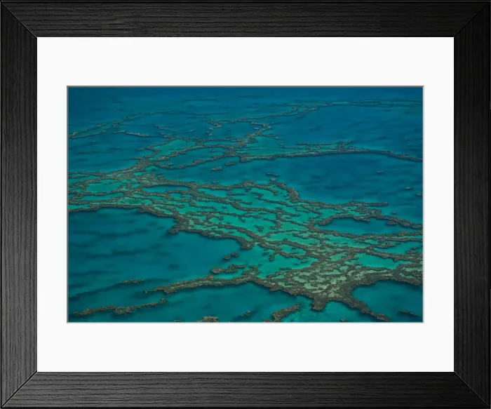 Framed Print : Aerial view of the Great Barrier Reef, UNESCO World Heritage Site, Queensland, Australia Framed Print : Aerial view of the Great Barrier Reef, UNESCO World Heritage Site, Queensland, Australia
