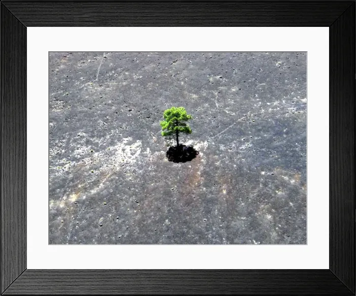 Framed Print : Dry condition