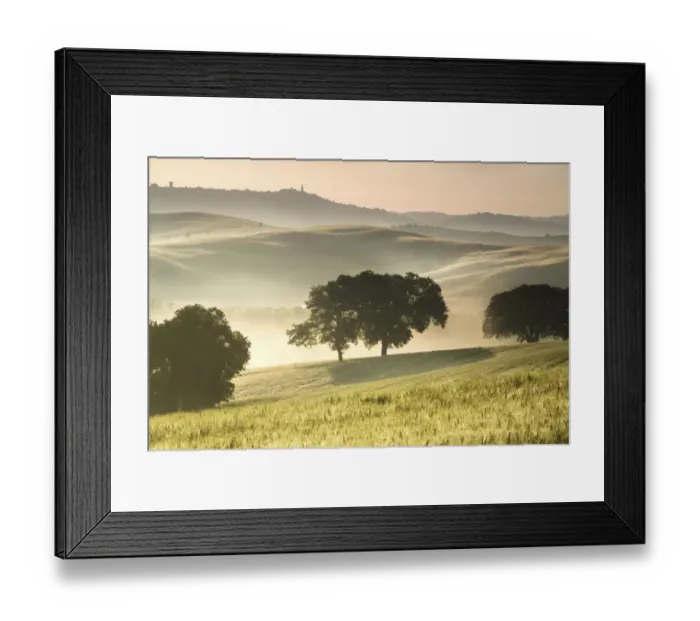 Framed Print : tuscany 2008