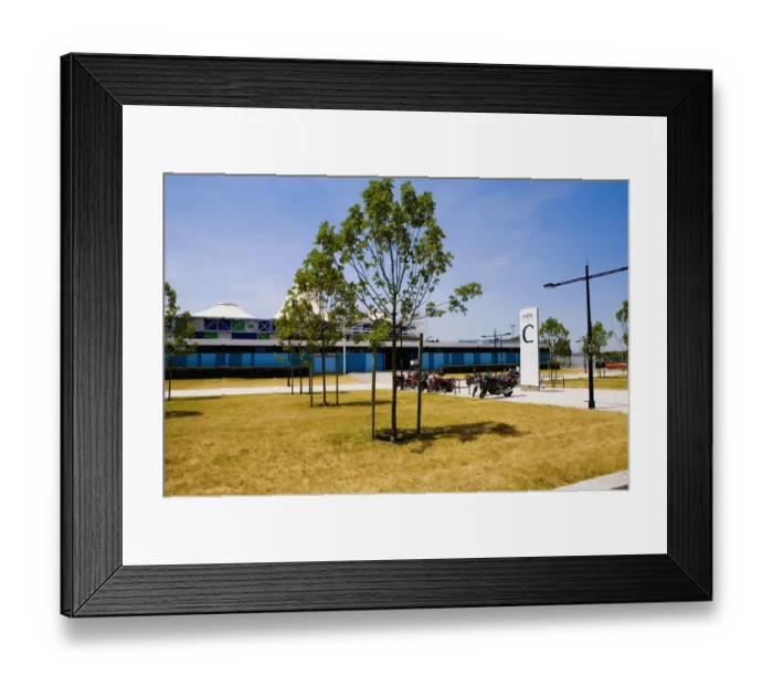 Framed Print : Trees in front of a building, Congres Et Expositions De Bordeaux, Bordeaux, Aquitaine, France Framed Print : Trees in front of a building, Congres Et Expositions De Bordeaux, Bordeaux, Aquitaine, France