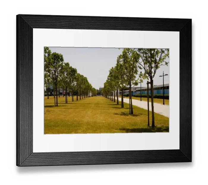 Framed Print : Walkway along a park, Congres Et Expositions De Bordeaux, Bordeaux, Aquitaine, France Framed Print : Walkway along a park, Congres Et Expositions De Bordeaux, Bordeaux, Aquitaine, France