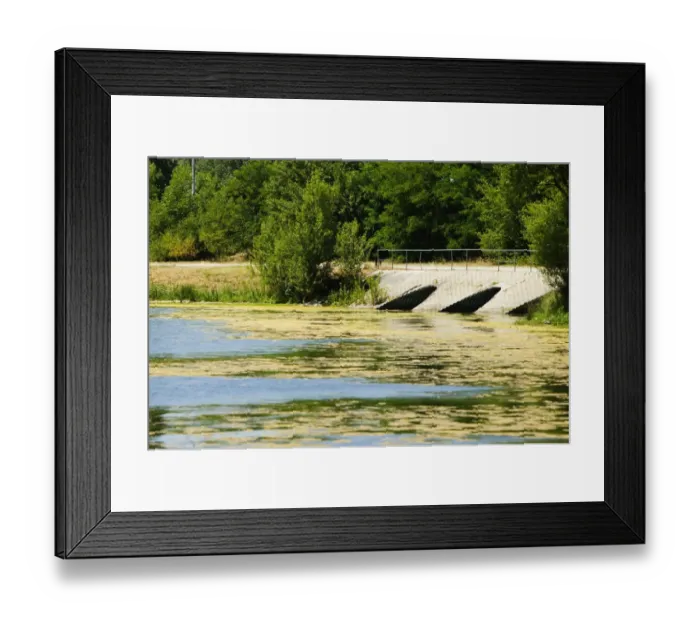 Framed Print : Duckweed floating on water, Bordeaux Lake, Bordeaux, Aquitaine, France Framed Print : Duckweed floating on water, Bordeaux Lake, Bordeaux, Aquitaine, France