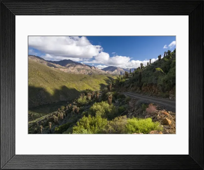 Framed Print : Gravel track, Cape, Bitter or Red Aloe -Aloe ferox-, Swartberg mountains, Western Cape, South Africa, Africa Framed Print : Gravel track, Cape, Bitter or Red Aloe -Aloe ferox-, Swartberg mountains, Western Cape, South Africa, Africa