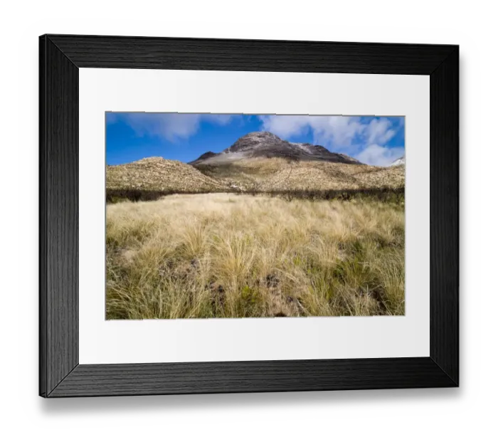 Framed Print : Grassy plain, Swartberg mountains, Western Cape, South Africa, Africa