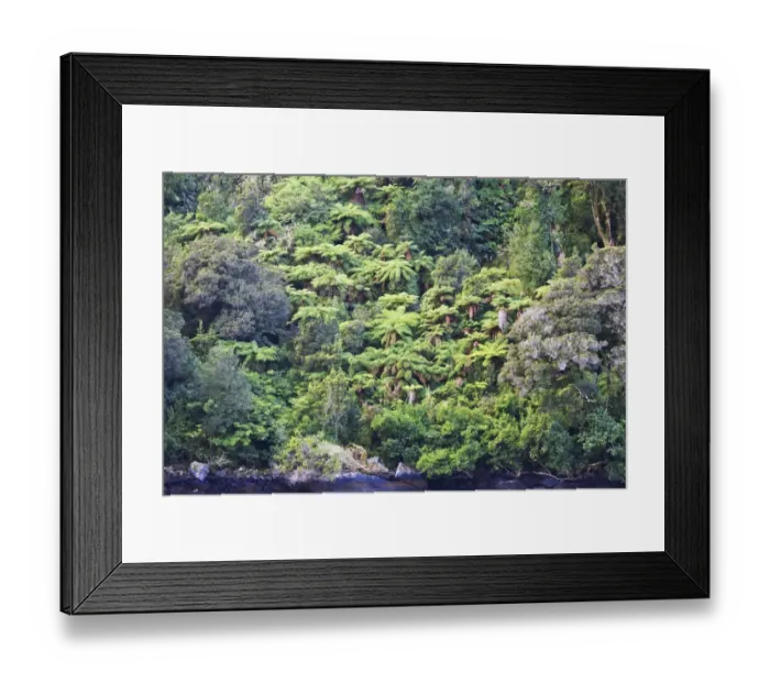 Framed Print : Fiordland National Park, Milford Sound, South Island, New Zealand Framed Print : Fiordland National Park, Milford Sound, South Island, New Zealand