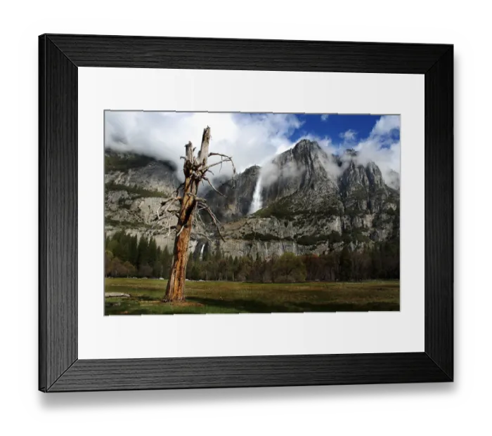Framed Print : Yosemite National Park Framed Print : Yosemite National Park