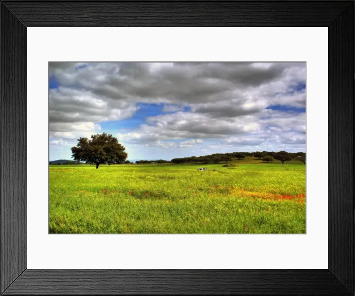 Framed Print : Landscape. Field on landscape at spring, Elvas, Portugal Framed Print : Landscape. Field on landscape at spring, Elvas, Portugal