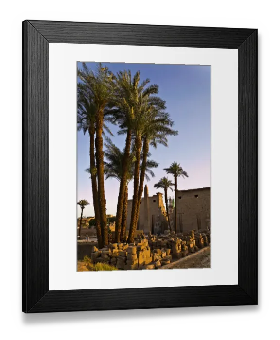 Framed Print : luxor temple. egypt Framed Print : luxor temple. egypt