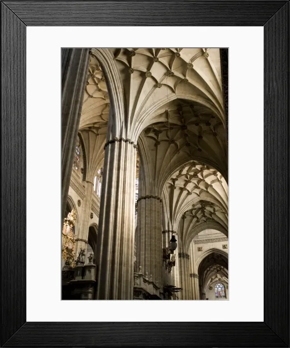 Framed Print : Salamanca, New Cathedral Framed Print : Salamanca, New Cathedral