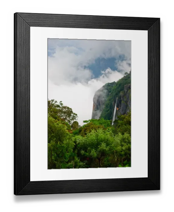 Framed Print : Rainforest in Western Ghats, India Framed Print : Rainforest in Western Ghats, India