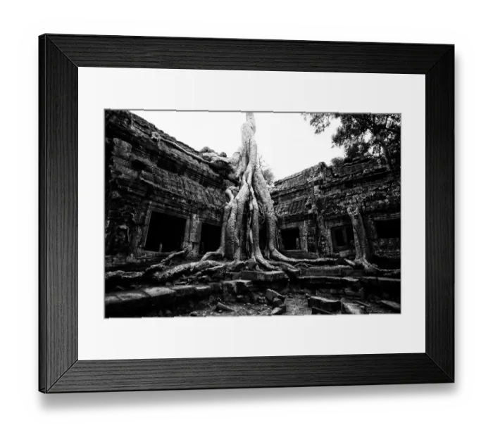 Framed Print : The ruin of Ta Prohm palace in black and white Framed Print : The ruin of Ta Prohm palace in black and white