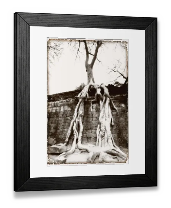 Framed Print : Ta Prohm temple, complex of Angkor Wat, Angkor, Cambodia Framed Print : Ta Prohm temple, complex of Angkor Wat, Angkor, Cambodia