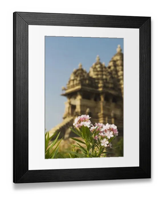 Framed Print : Flowering plant with temple in the background, Kandariya Mahadeva Temple, Khajuraho, Chhatarpur District, Madhya Pradesh, India Framed Print : Flowering plant with temple in the background, Kandariya Mahadeva Temple, Khajuraho, Chhatarpur District, Madhya Pradesh, India