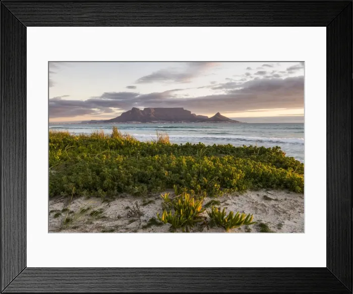 Framed Print : Table Mountain, Lions Head and Devils Peak in the evening light, panoramic views of Cape Town, Bloubergstrand beach, Table Bay, Atlantic Ocean, Cape Town, Western Cape, South Africa Framed Print : Table Mountain, Lions Head and Devils Peak in the evening light, panoramic views of Cape Town, Bloubergstrand beach, Table Bay, Atlantic Ocean, Cape Town, Western Cape, South Africa