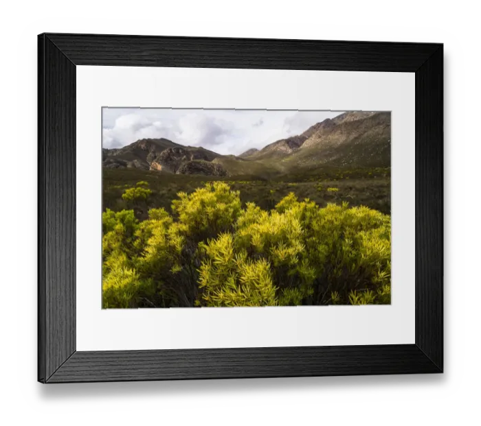 Framed Print : Landscape in Gamkaskloof or Die Hel Valley, Swartberg, Western Cape, South Africa Framed Print : Landscape in Gamkaskloof or Die Hel Valley, Swartberg, Western Cape, South Africa