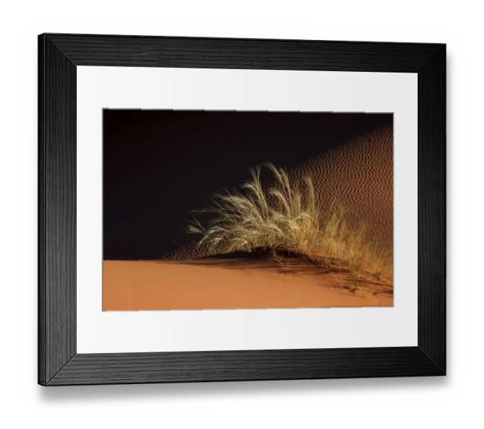 Framed Print : Sand dune with grass tuft, Namib Desert, Namibia