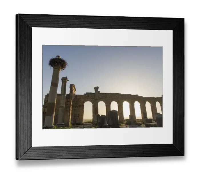 Framed Print : Old Roman ruins in Volubilis at sunset Framed Print : Old Roman ruins in Volubilis at sunset