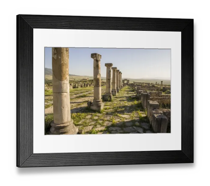 Framed Print : Old Roman ruins in Volubilis at sunset Framed Print : Old Roman ruins in Volubilis at sunset