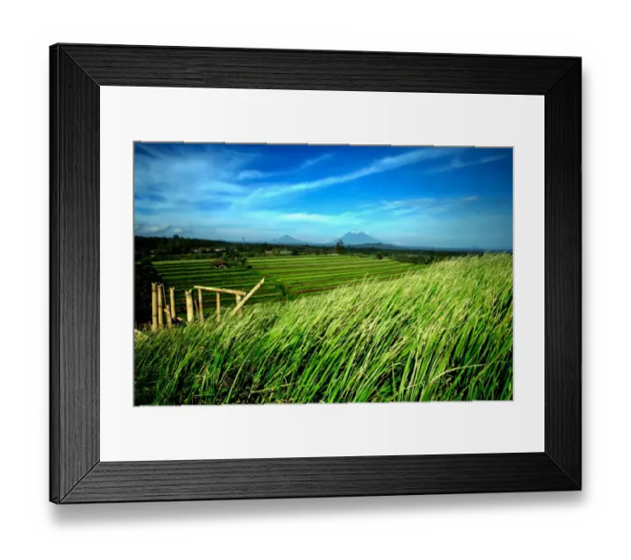Framed Print : Jatiluwih. the Jatiluwih rice terraces with its traditional farming system Framed Print : Jatiluwih. the Jatiluwih rice terraces with its traditional farming system