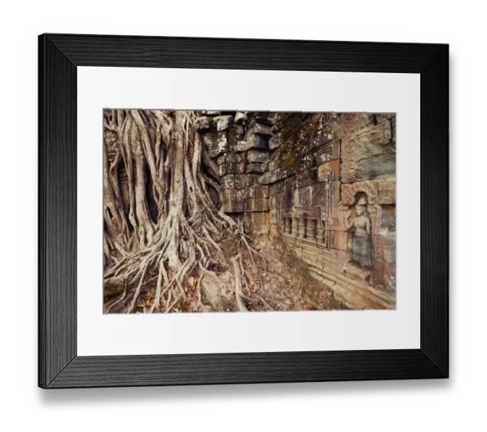 Framed Print : Ta Som temple covered by strangler fig tree Framed Print : Ta Som temple covered by strangler fig tree