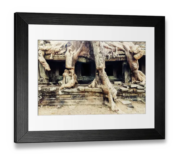Framed Print : Preah Khan temple covered by strangler fig tree