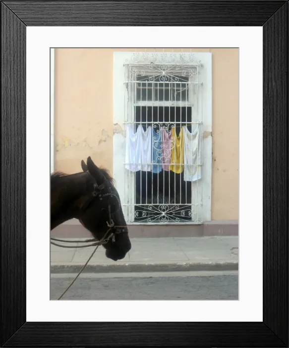 Framed Print : Horse and laundry, Cienfuegos, Cuba Framed Print : Horse and laundry, Cienfuegos, Cuba