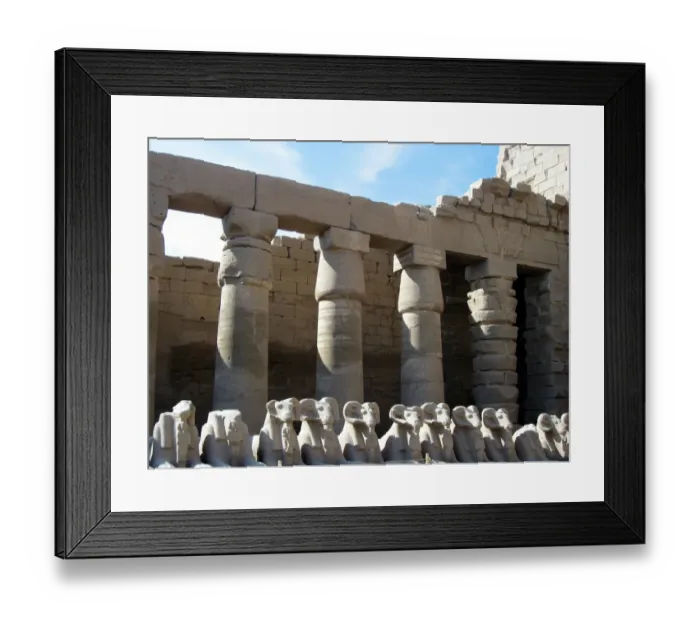 Framed Print : Ram-headed Sphinxes, Karnak temple, Egypt Framed Print : Ram-headed Sphinxes, Karnak temple, Egypt