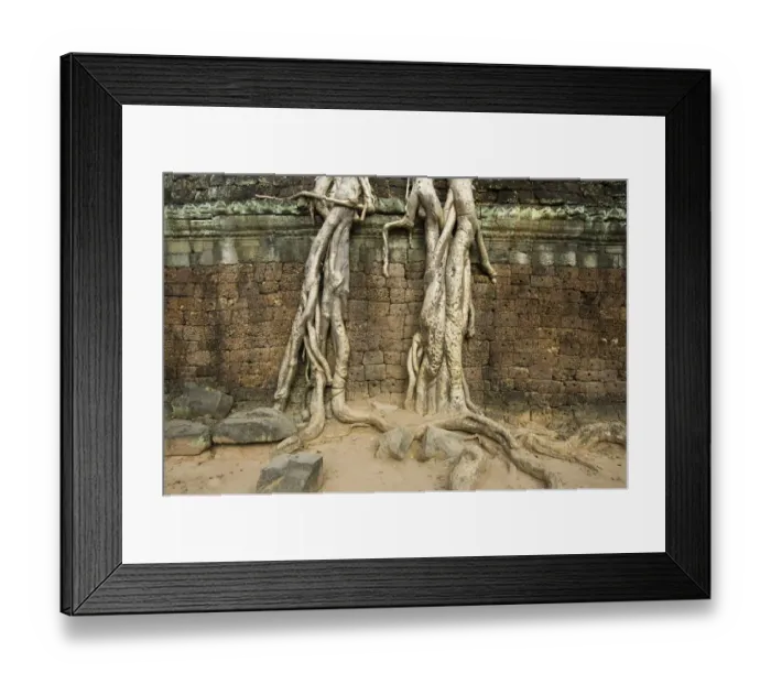 Framed Print : Ruins at Ta Prohm Temple Framed Print : Ruins at Ta Prohm Temple