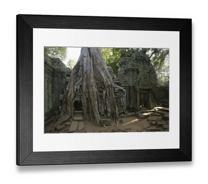 Framed Print : Ruins at Ta Prohm Temple Framed Print : Ruins at Ta Prohm Temple