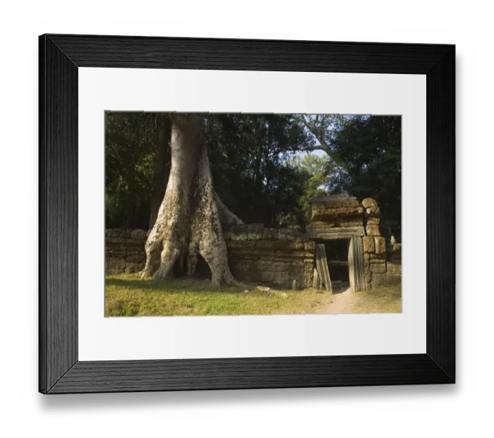 Framed Print : Ruins at Ta Prohm Temple Framed Print : Ruins at Ta Prohm Temple