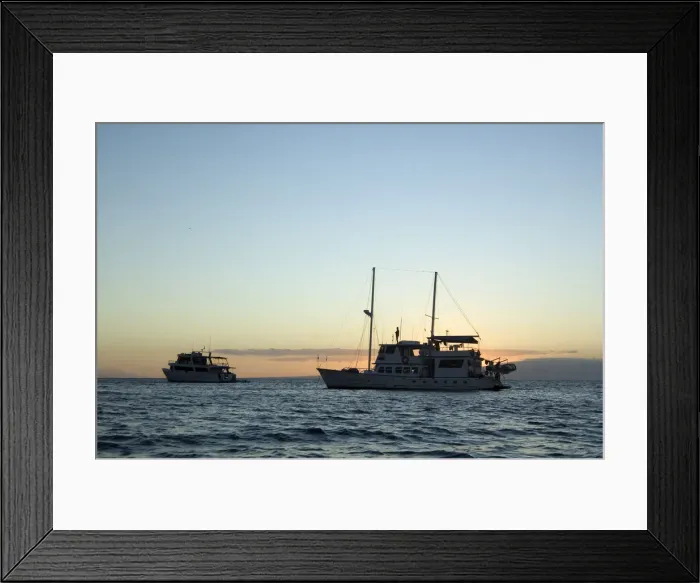 Framed Print : Eco-tourists on yachts at sunset Framed Print : Eco-tourists on yachts at sunset