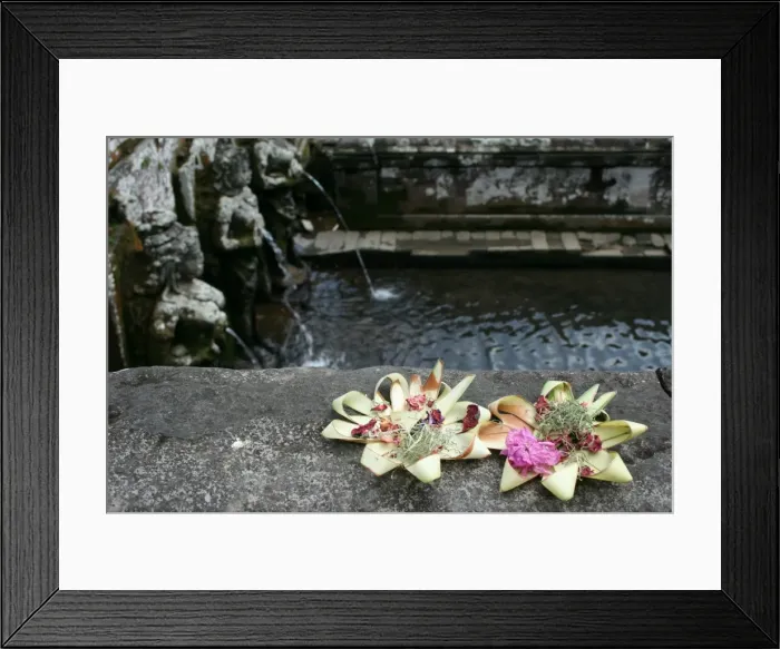 Framed Print : Offerings by the sacred pool Framed Print : Offerings by the sacred pool