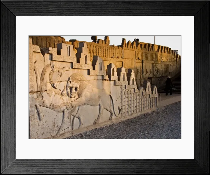 Framed Print : Persepolis Framed Print : Persepolis