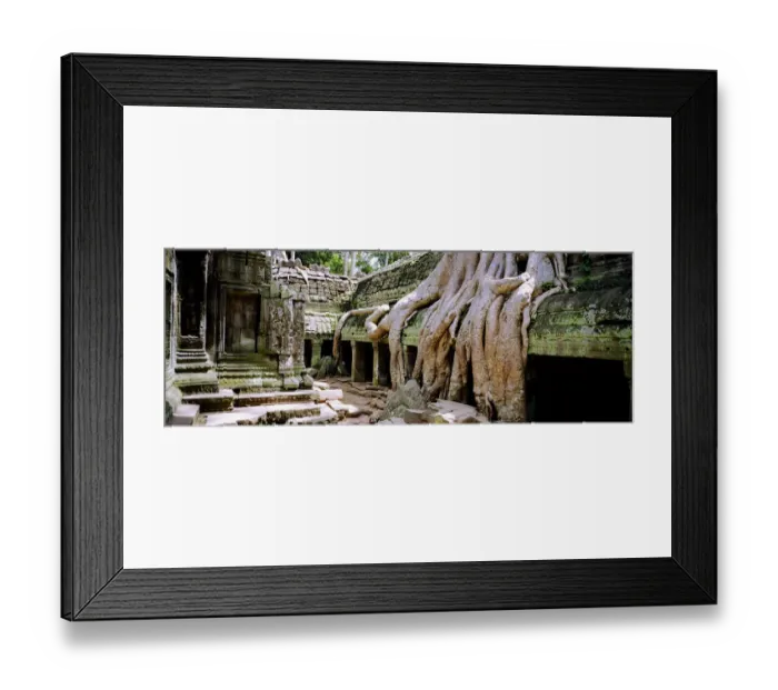 Framed Print : Temple and tree at Angkor Framed Print : Temple and tree at Angkor