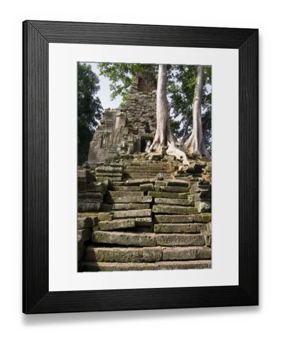 Framed Print : Trees growing from Angkor Thom Framed Print : Trees growing from Angkor Thom