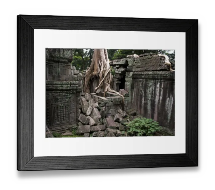 Framed Print : Ta Prohm temple overgrown with trees Framed Print : Ta Prohm temple overgrown with trees