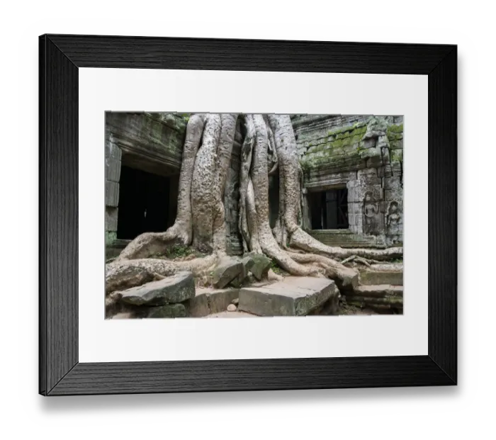Framed Print : Giant tree grappling with Ta Prohm temple Framed Print : Giant tree grappling with Ta Prohm temple