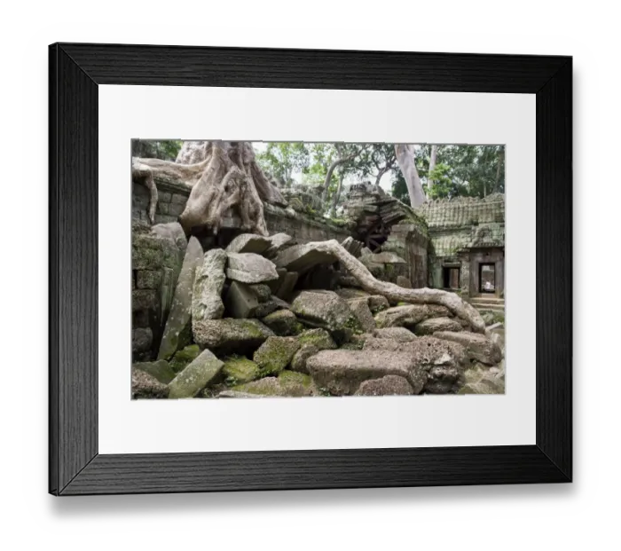 Framed Print : Ta Prohm temple wall overgrown with trees Framed Print : Ta Prohm temple wall overgrown with trees