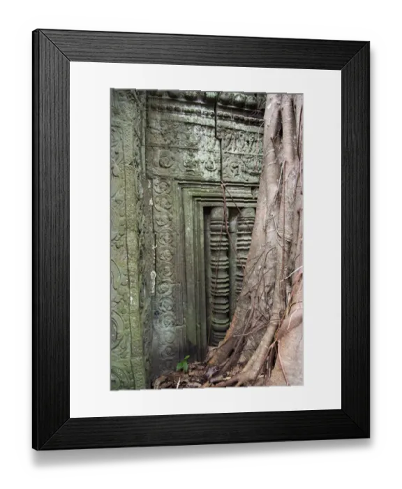 Framed Print : Ta Prohm temple wall overgrown with trees