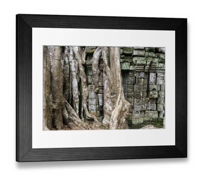 Framed Print : Ta Prohm temple wall overgrown with trees Framed Print : Ta Prohm temple wall overgrown with trees