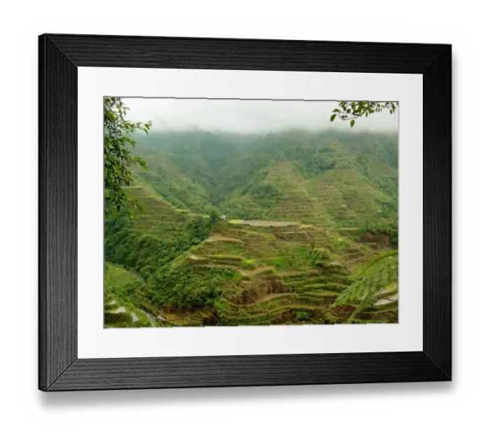 Framed Print : Rice terraces outside Banaue Framed Print : Rice terraces outside Banaue
